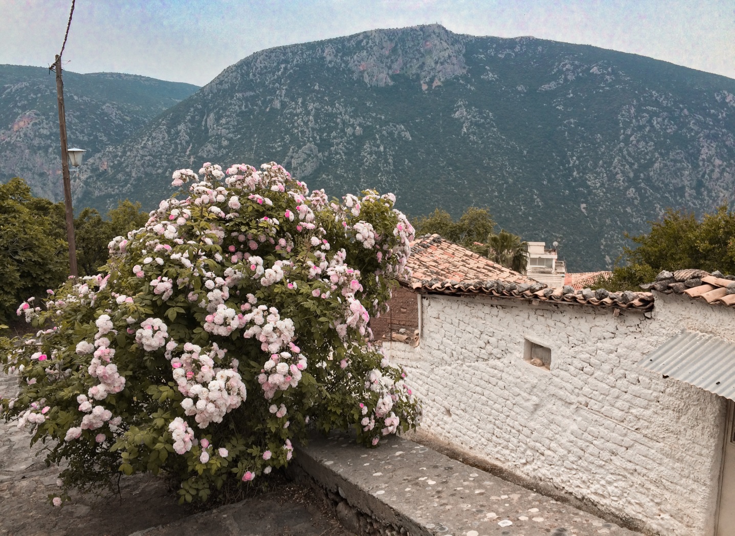 Delphi - Greece on a budget