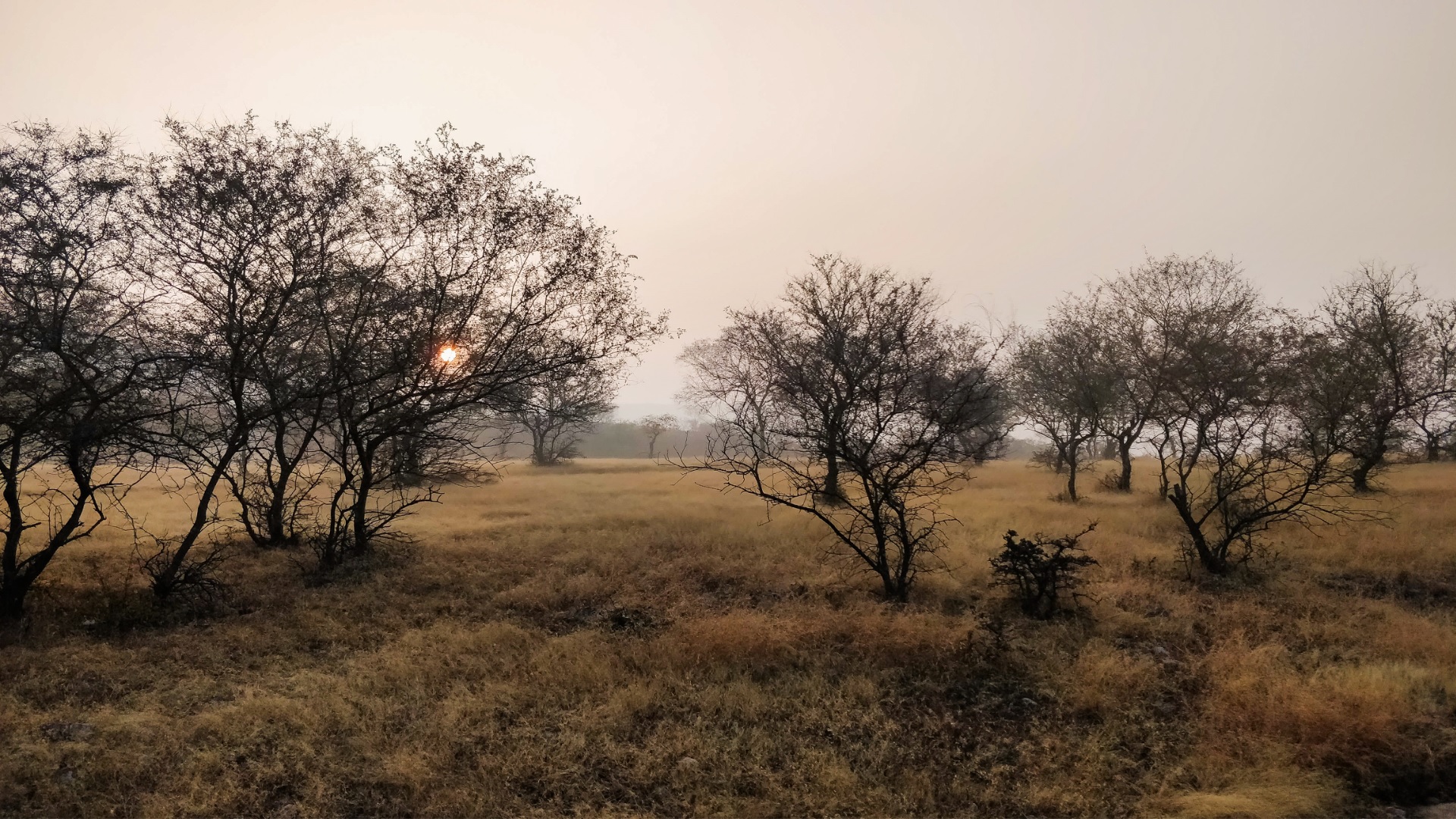 Ranthambore National Park