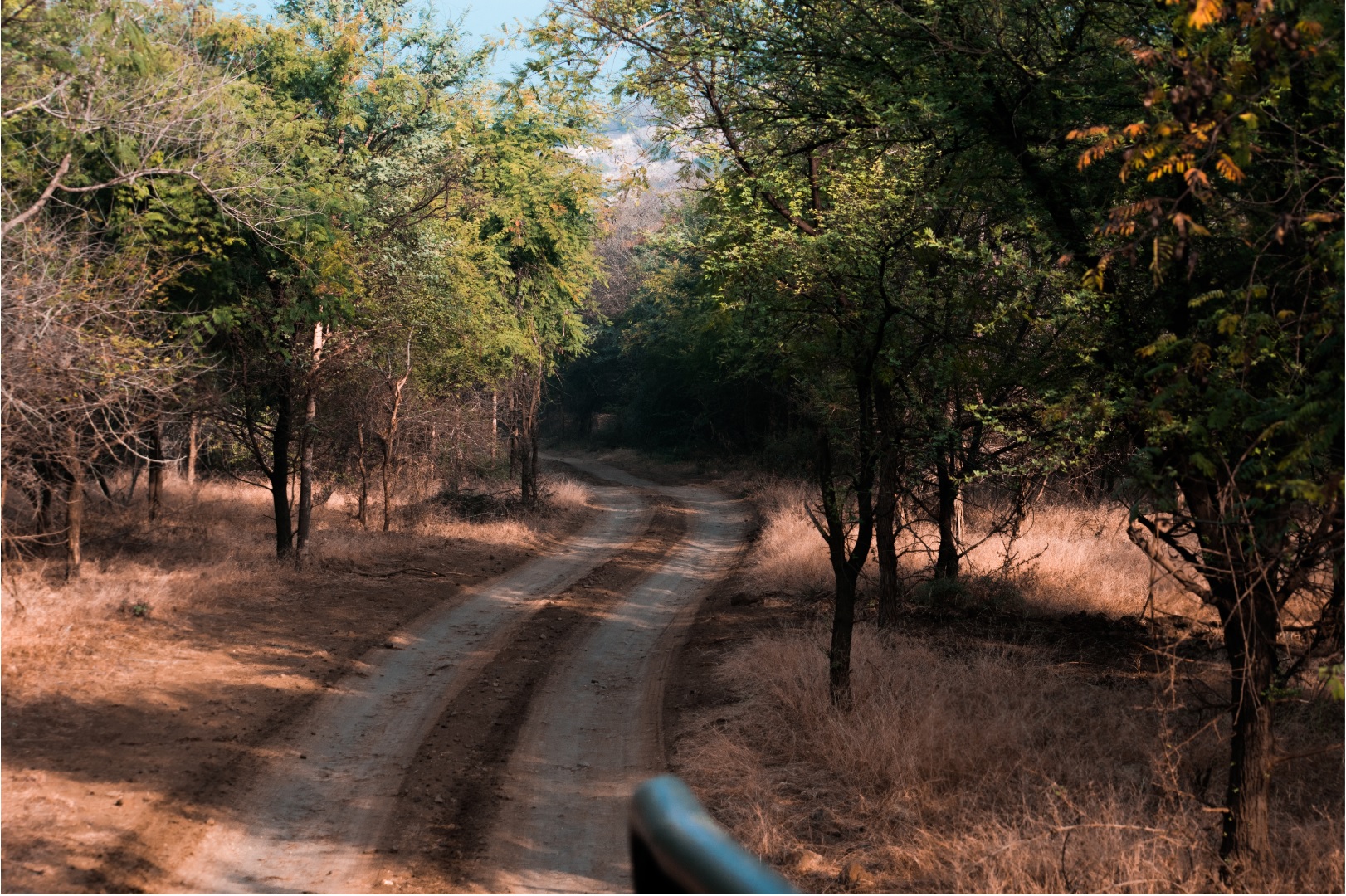 Ranthambore National Park