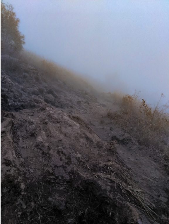 Mount Batur terrain