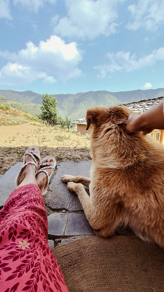 The Goat Village Nag Tibba